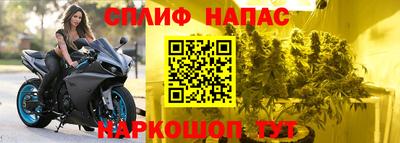 стафф Можга